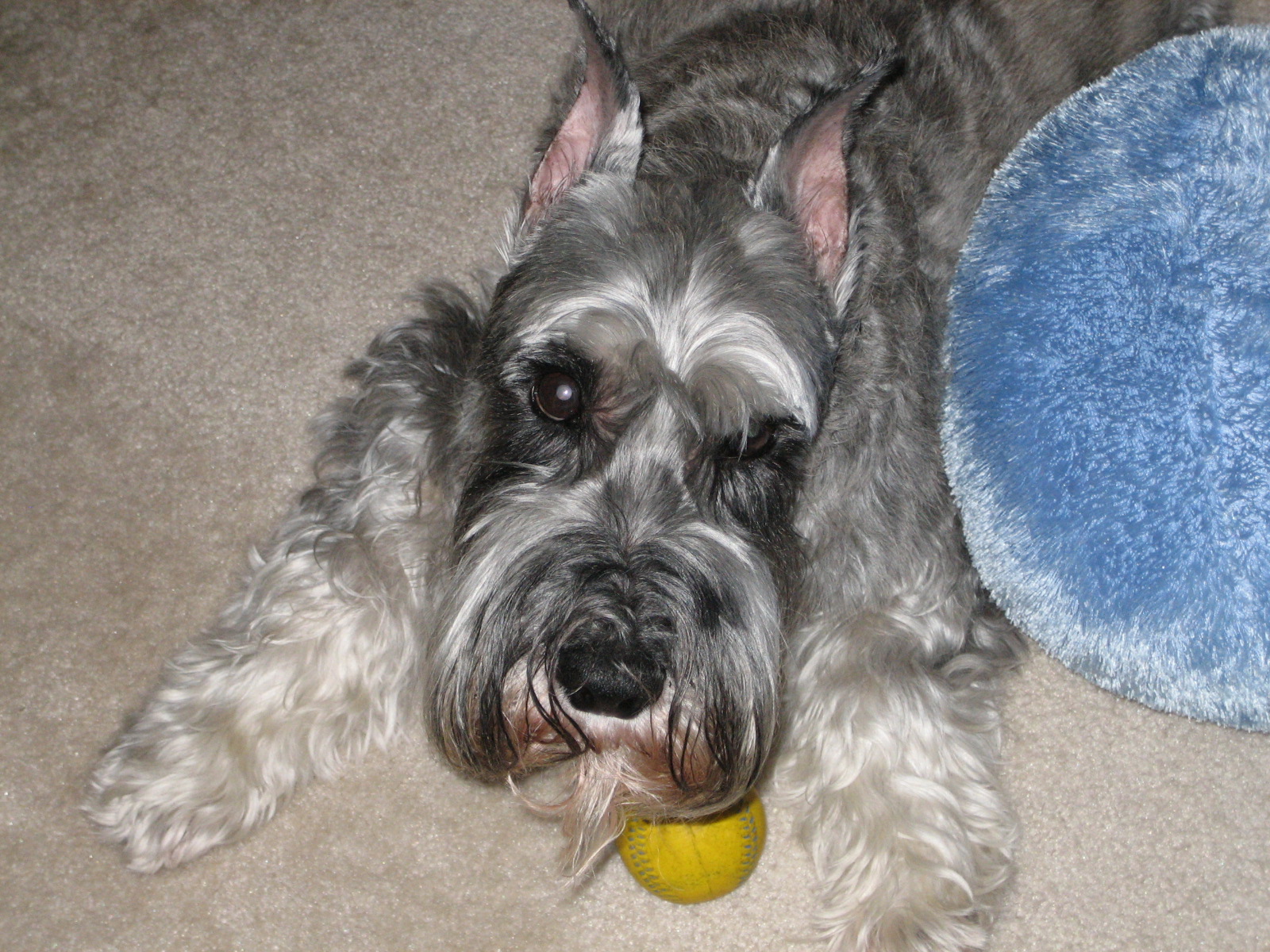 31FEA1BC-A594-4BBD-ADED-ABB8C379BB7E