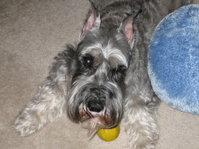 31FEA1BC-A594-4BBD-ADED-ABB8C379BB7E